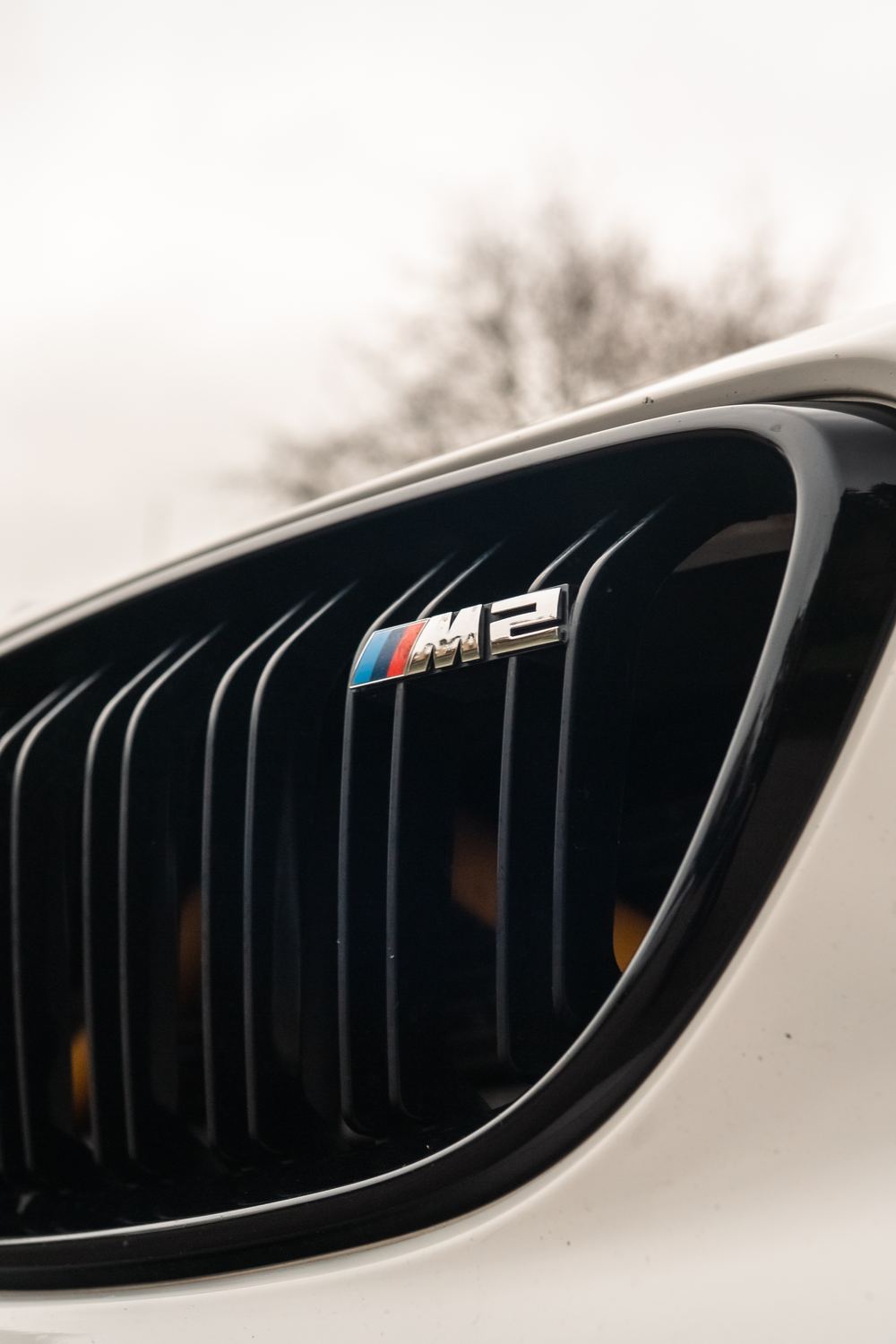Close-up of the M2 badge in a gloss black kidney grille